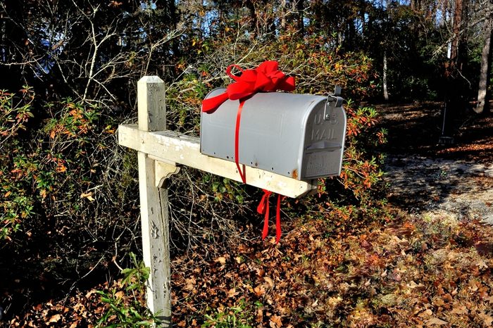 Christmas mailbox at countryside