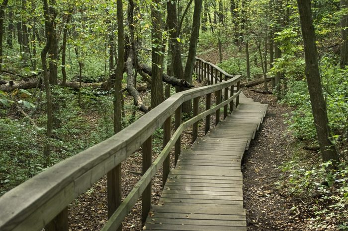 Wooden steps and a railing help the start of this hike along marked trails in Cheesequake Park in Monmouth County, New Jersey.