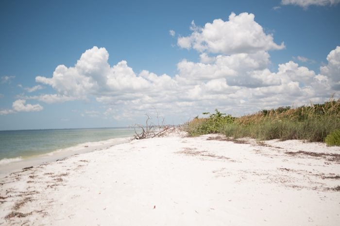 Sand, sky, ocean, and sea grass on the beach in Lovers Key, FL