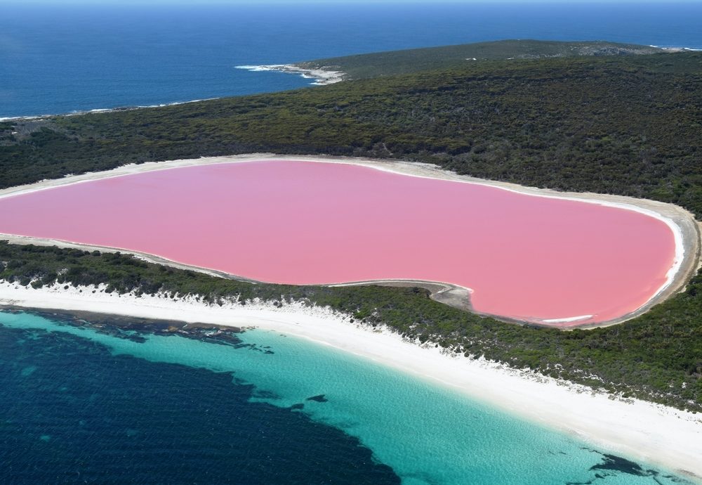 Lake Hillier, západná Austrália: Úžasné ružové jazero, prírodná pamiatka Austrálie, na Strednom ostrove, prírodná rezervácia Recherche Archipelago, blízko Esperance.