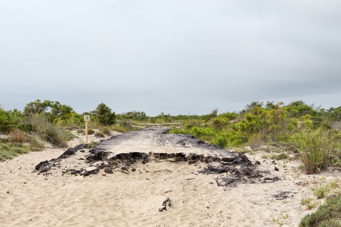 Remains of an old asphalt road along one of the sand dune trails on the northern, Maryland end of Assateague Island.