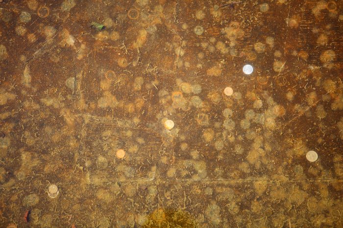 the texture of the old coins under water