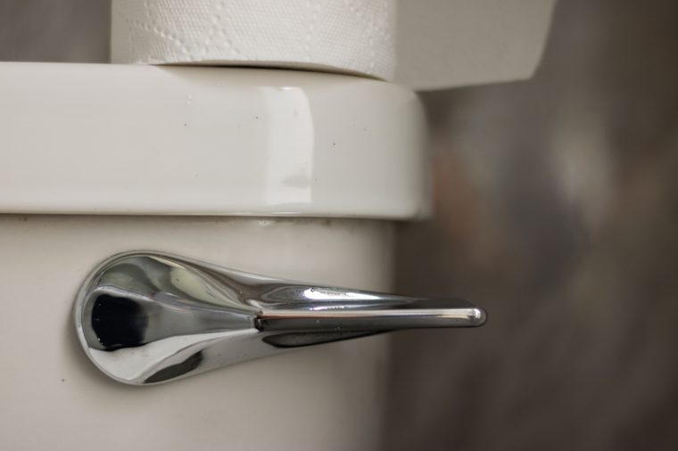Macro: part of a toilet bowl with a handle and a roll of white toilet paper.
