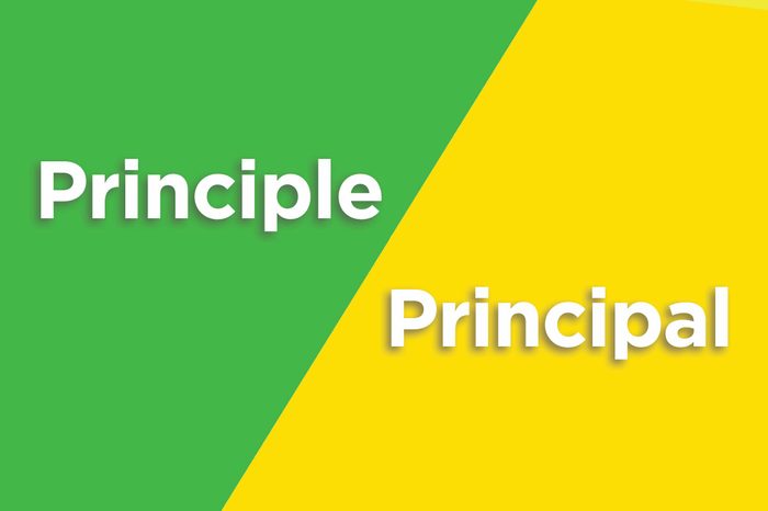 principle principal