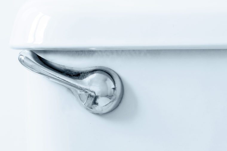 Closeup of a toilet flush lever.