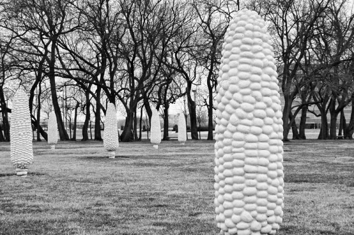 Corn Sculptures : CC Technology