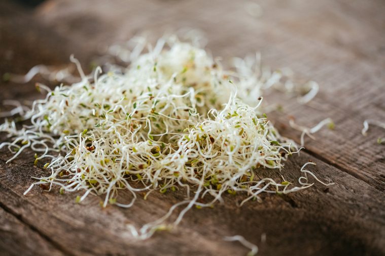 Fresh Alfalfa Sprouts On A Wooded Table
