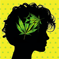 Marihuana leaves in head