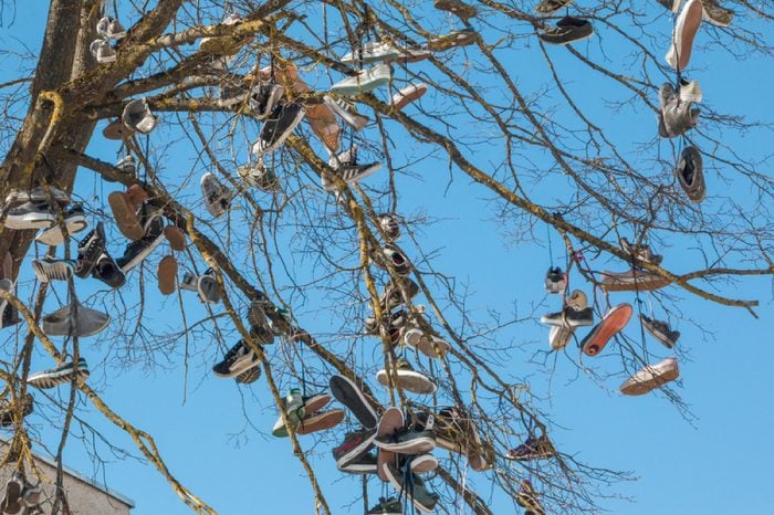 Siauliai. Lithuania. April 21, 2018. Shoes hang on the tree.