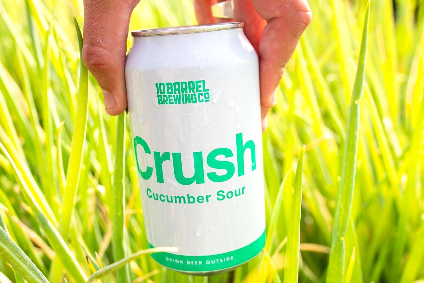 Rd Beer Oregon 10 Barrel Brewing Co. Cucumber Crush Via 10barrelbrewingcompany Facebook.com