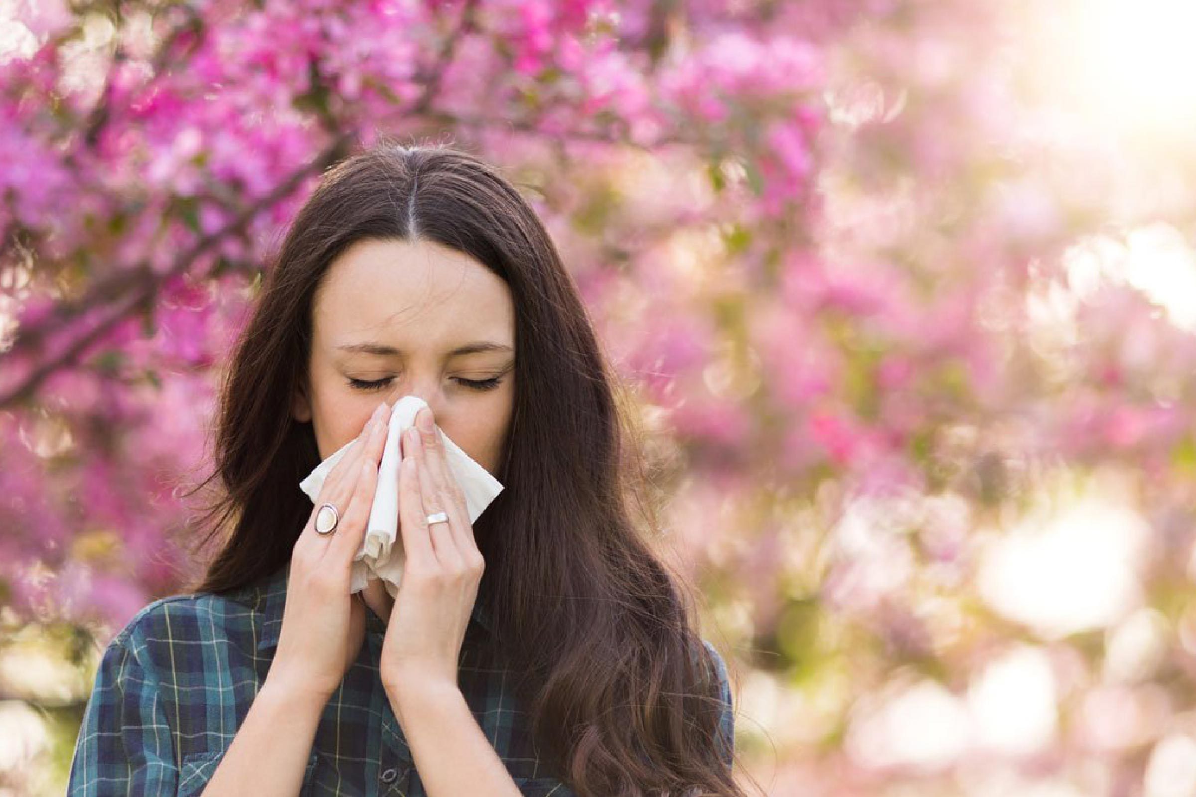 Allergies to pollen