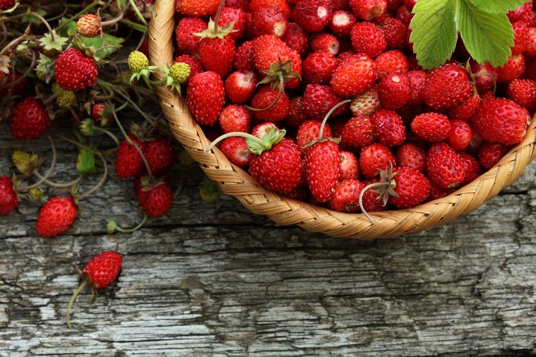 Wild strawberry basket on wooden background