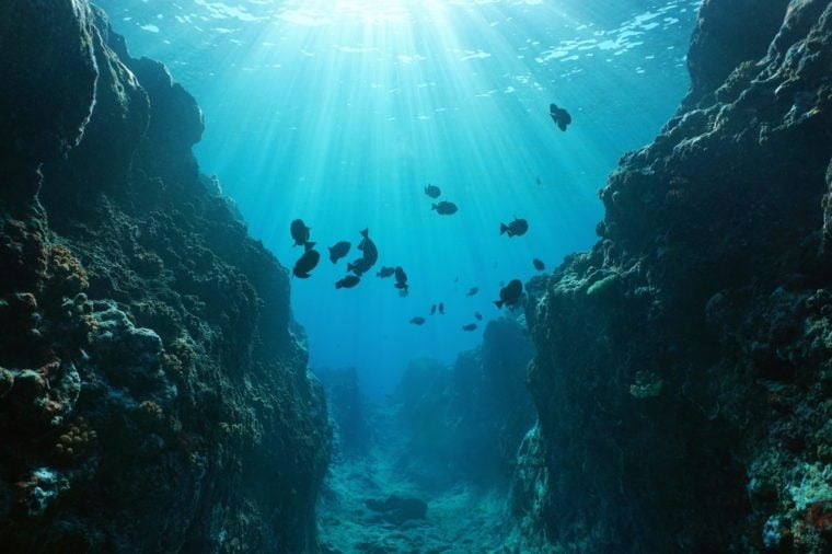 Ocean Mysteries Scientists Still Can T Explain Reader S Digest