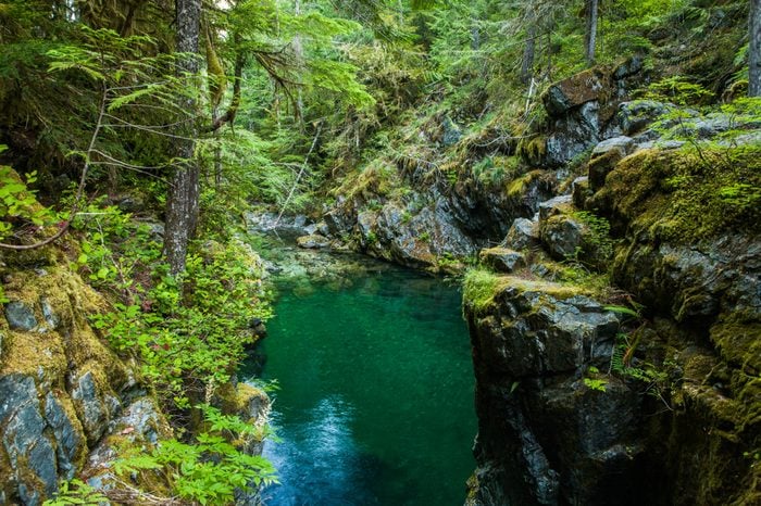 Opal Creek in the Opal Creek Wilderness. It is a wilderness area located in the Willamette National Forest in Oregon.