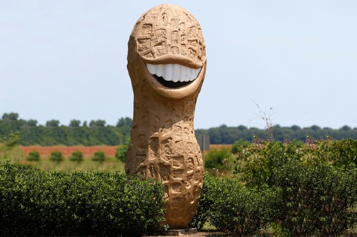 A peanut statue is shown in Plains, Ga, . Plains is the home town and birth place of former President Jimmy Carter