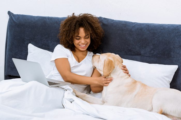 happy young woman with laptop in bed playing with dog