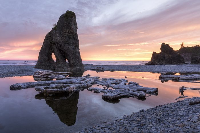 Sunset reflected in a slow moving stream, with sea stacks and driftwood, at Ruby Beach in Olympic National Park, Washington.