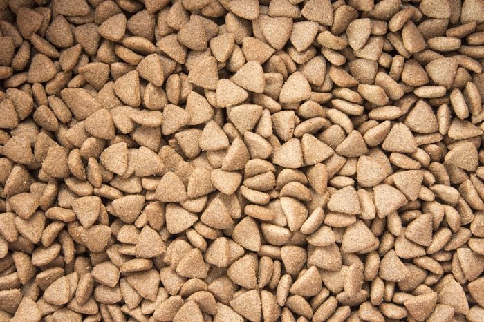 Dry food for dog and cat background