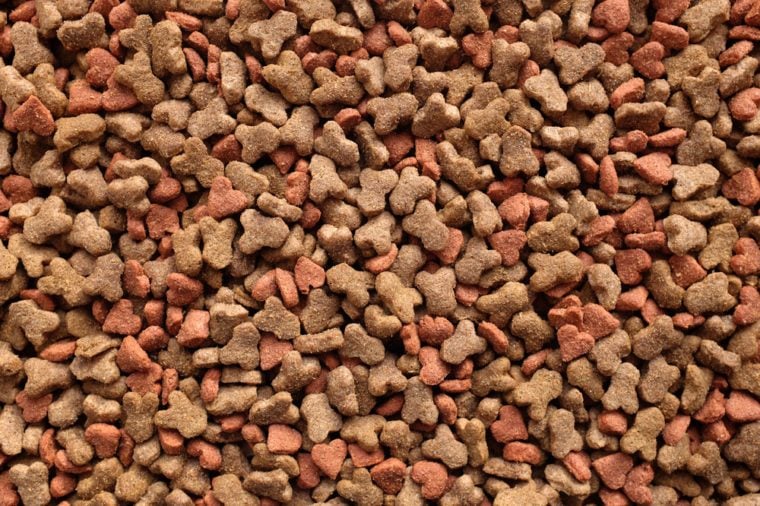 Dried cat food, shaped kitty kibble as an abstract background texture