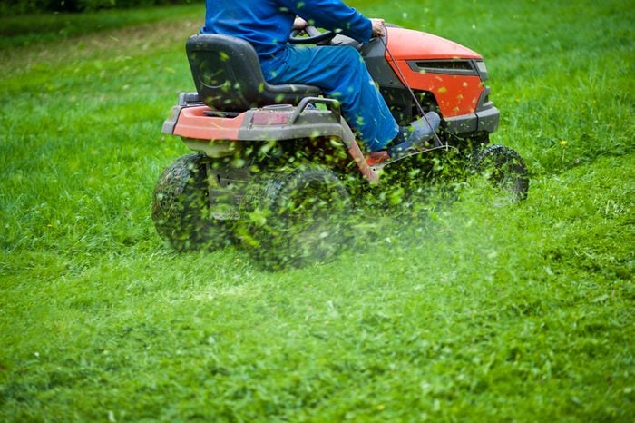 The gardener mows the grass on the lawn mower in the park