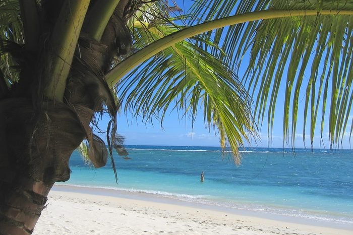 Palm tree and blue sea from Nattes island - Nosy Boraha - Sainte-Marie island - Madagascar.
