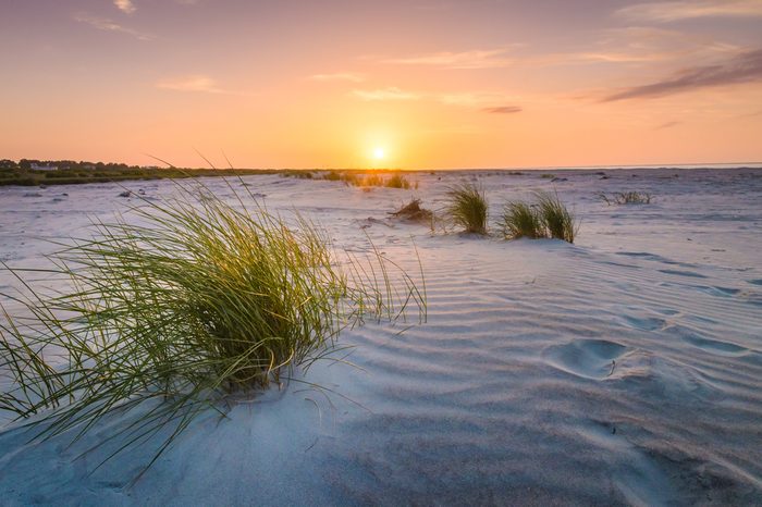 Beautiful sunrise over the sand dunes on Fripp Island, South Carolina.