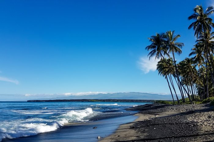 Beach with black lava sand and palm trees on the Big Island of Hawaii