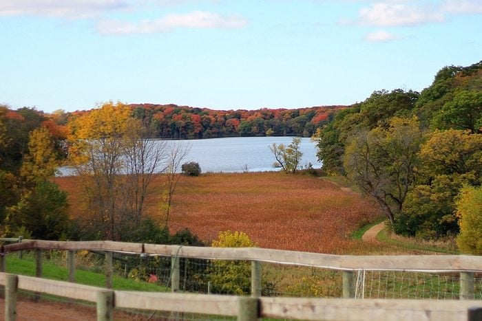 A landscape scene of autumn foliage. Orange,red,yellow,green colors. Wooden fence in front of big lake, trees and sky in background. Big pasture in front of lake. 