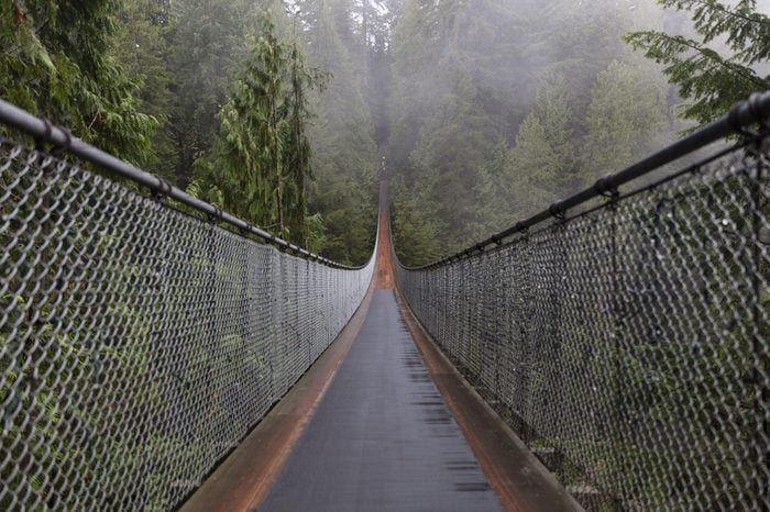 Capilano Suspension Bridge. Vancouver British Columbia Canada. Nature. Evergreen. 