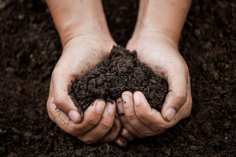 Woman hand holding soil in heart shape for planting