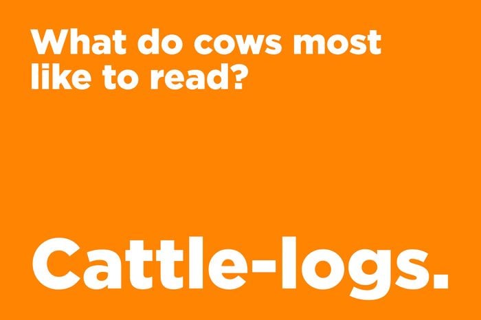 cows like to read
