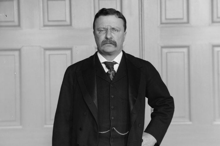 Theodore ROOSEVELT 1858-1919, 26th President of the United States, photographed c. 1902
