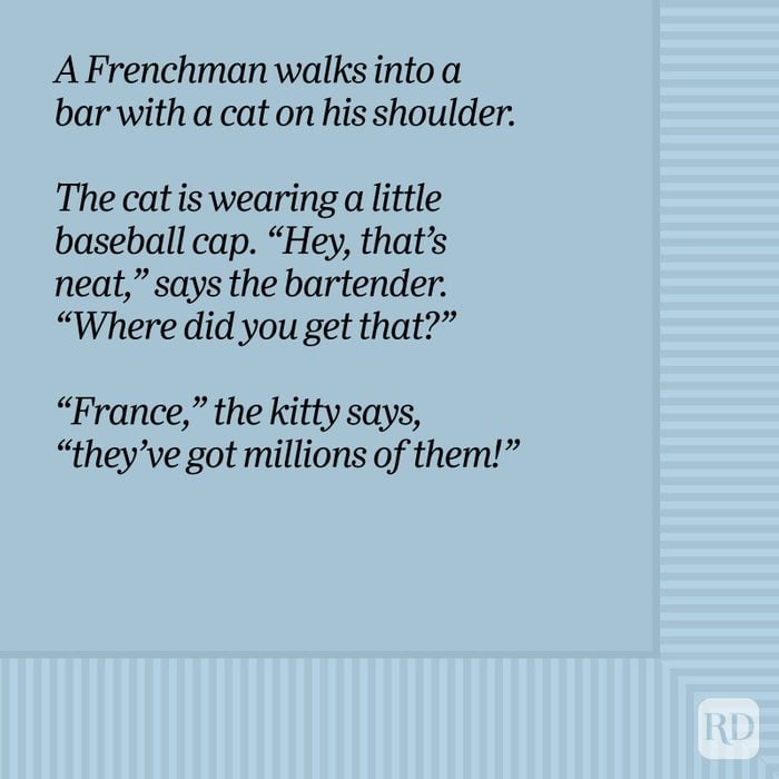 A Frenchman Walks Into A Bar With A Cat On His Shoulder Bar Joke