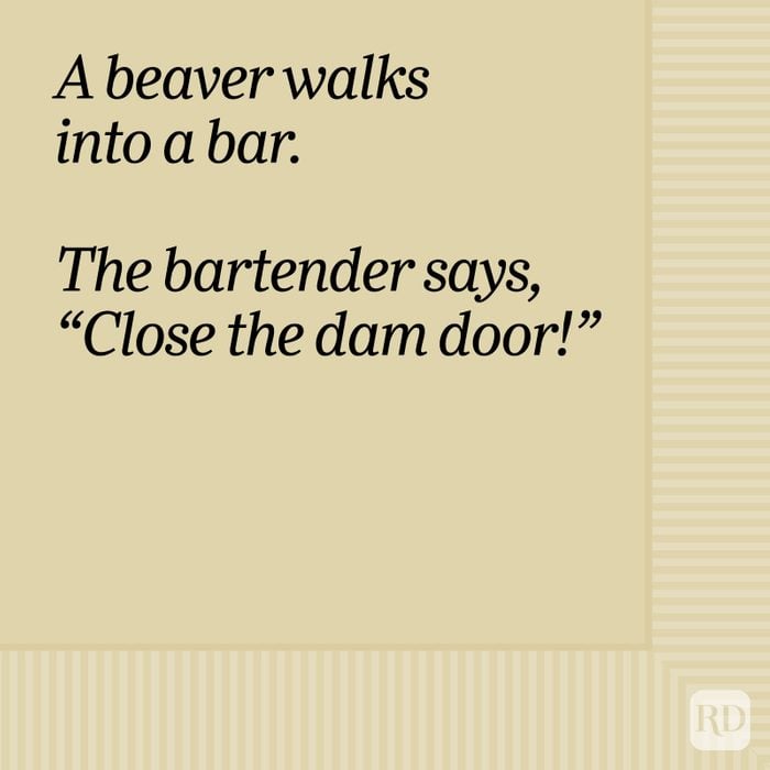 A Beaver Walks Into A Bar Bar Joke