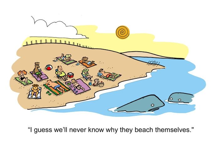 Summer Cartoons You Can't Help but Laugh At | Reader's Digest