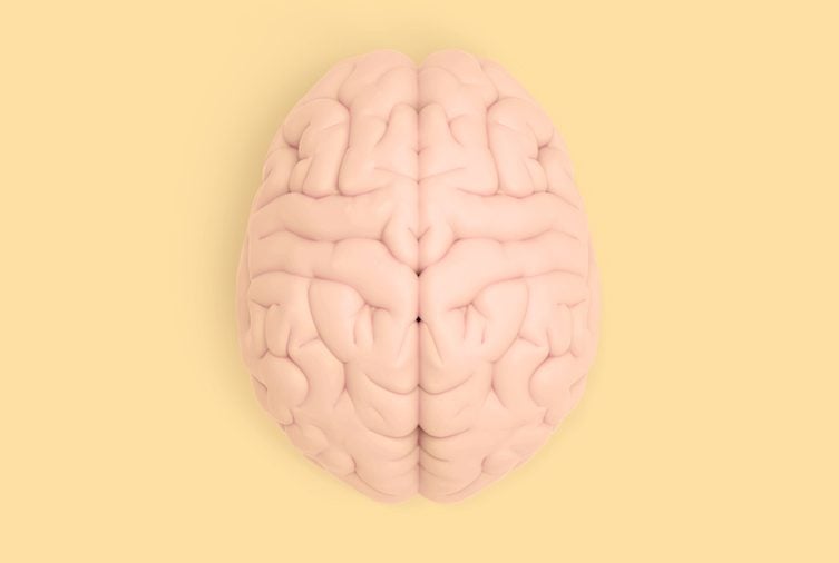 3D brain rendering illustration in top view template background isolated on yellow pastel color with clipping path to use in any backdrop