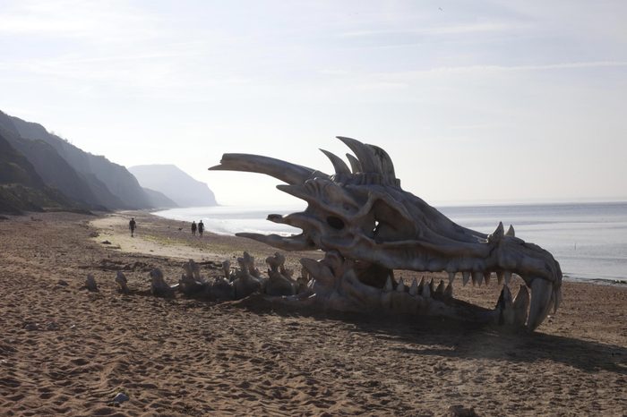 'Game of Thrones' dragon skull appears on Charmouth beach, Dorset, Britain - 15 Jul 2013