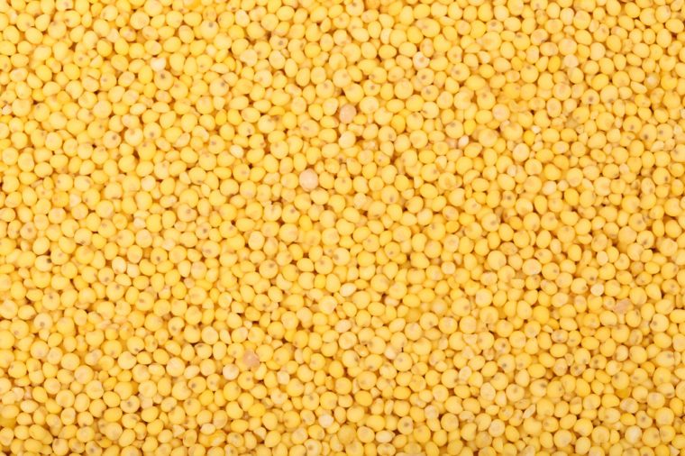 Yellow millet background 