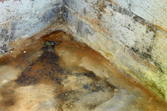 Water damage and mold in basement. Horizontal image