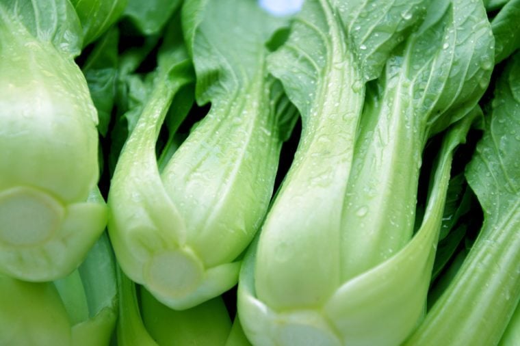 Vegetable, Delicious Fresh Green Bok Choy, Pok Choi or Pak Choi close up.