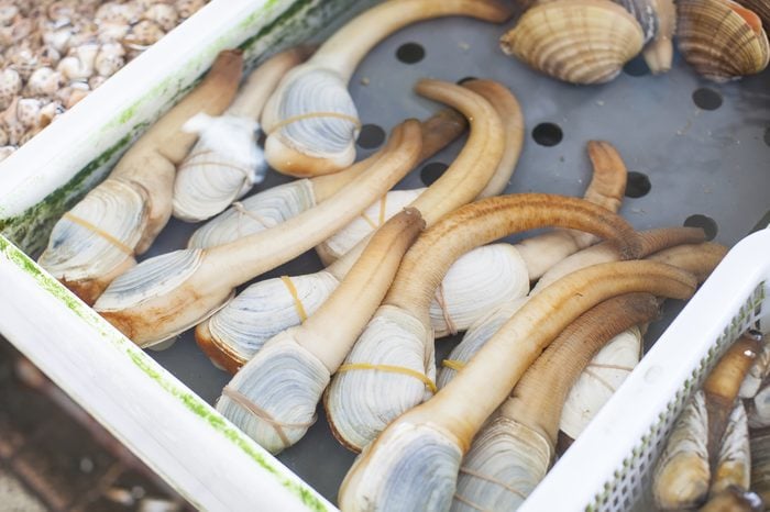 geoduck in seafood market