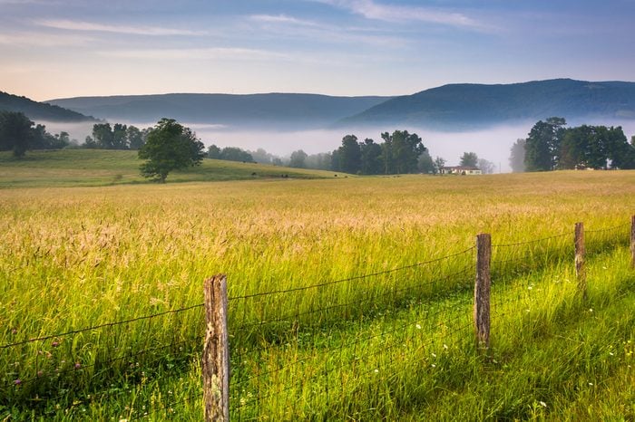 Farm field and distant mountains on a foggy morning in the rural Potomac Highlands of West Virginia.