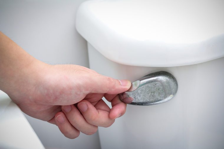 hand flush toilet