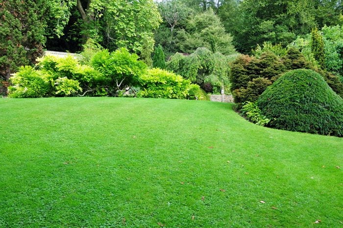 Beautiful Garden with a Freshly Mowed Lawn