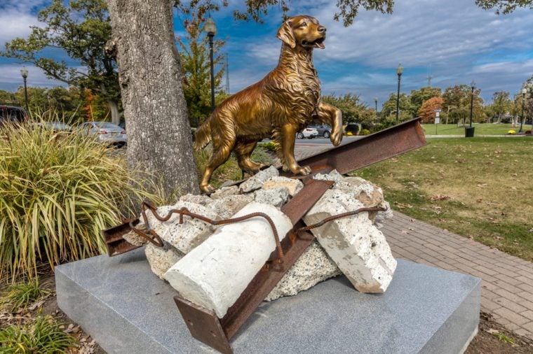 „Memorial Eagle Rock“ rezervacija Vakarų Orindže, Naujajame Džersyje - vaizduojamas „Paieškos ir gelbėjimo šunų“ indėlis į rugsėjo 11 dienos gelbėjimą