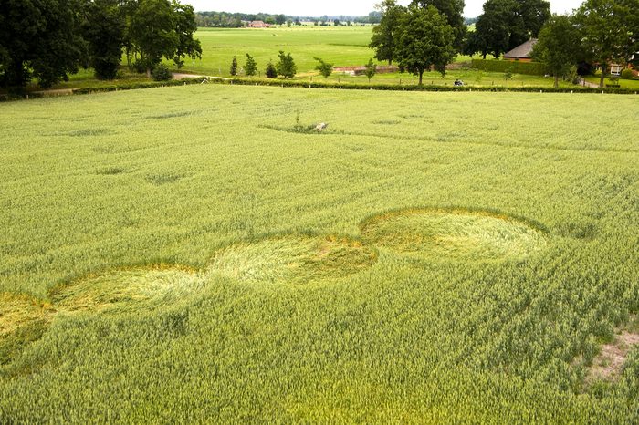 Mysterious crop circle in a wheat field near the city of Lochem in the Netherlands