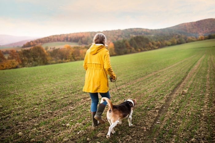 Active senior woman with dog on a walk in a beautiful autumn nature. Rear view.