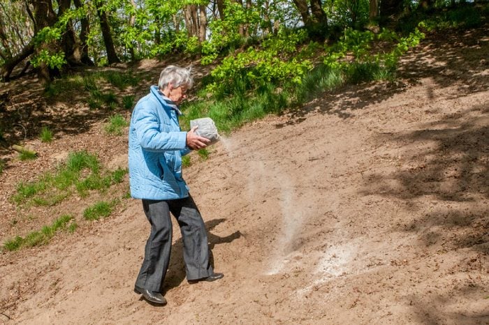 VEGHEL, HOLLAND - MAY 9, 2009: Woman strewing the ashes of a loved one in a forest