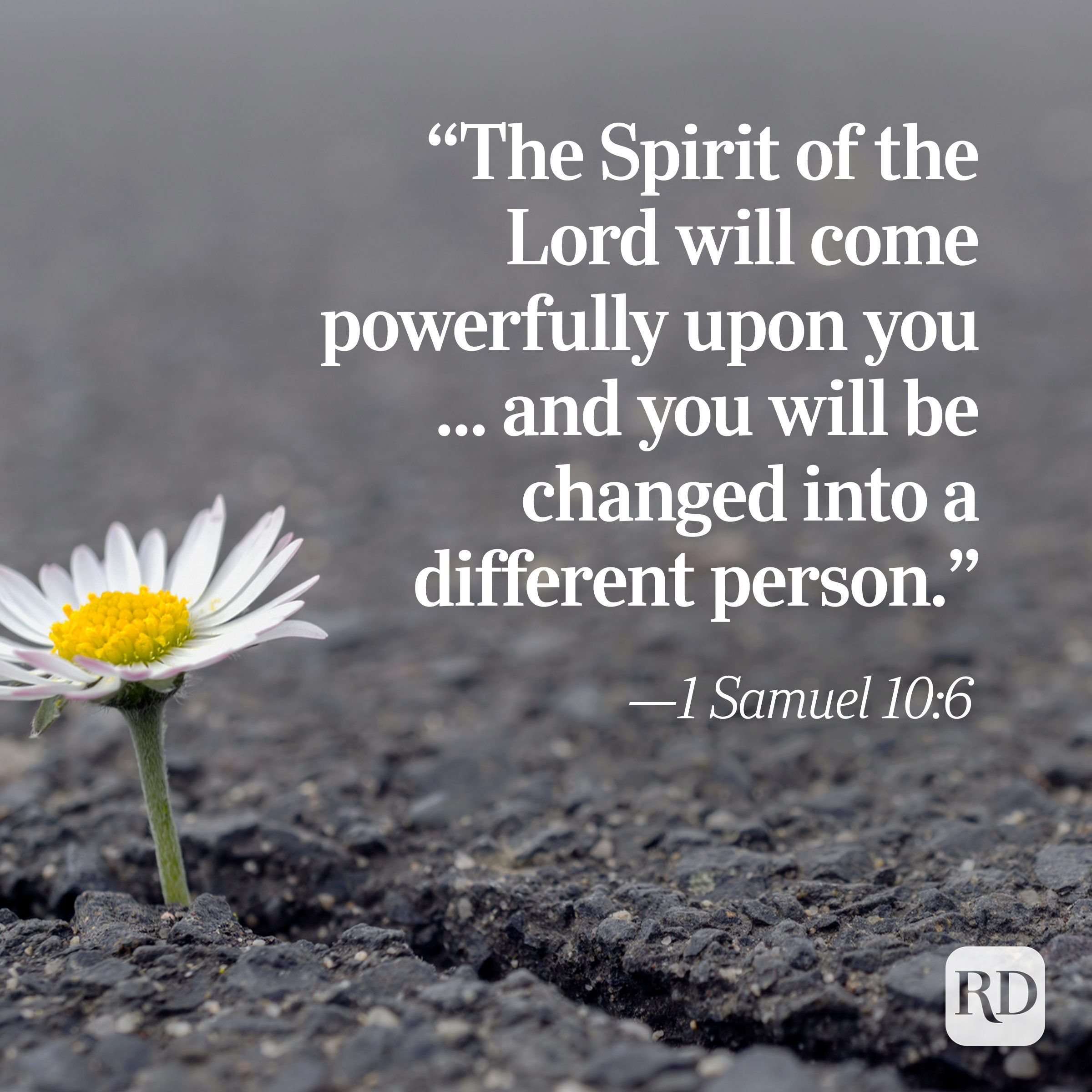 Bible Quote: 1 Samuel 10:6