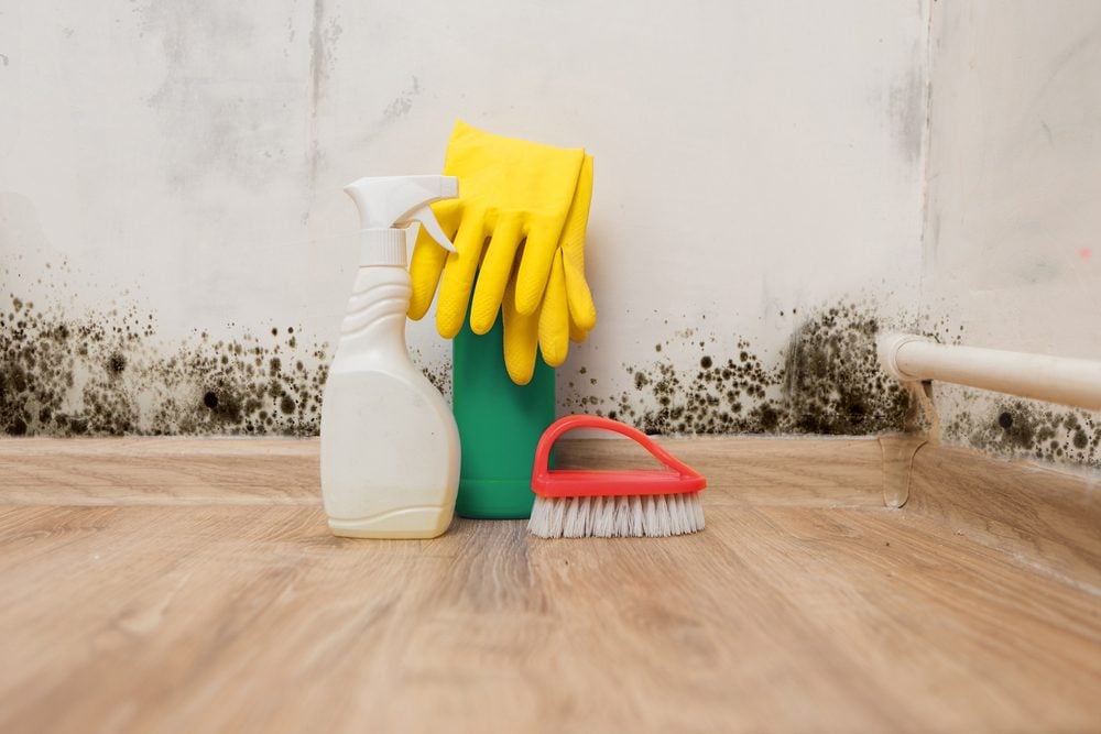 Hidden Signs of Mold Growth in Your House 1